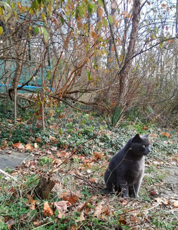 ithaca autumn