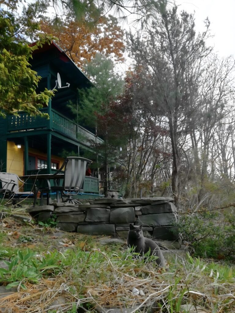 Ithaca Charming Lakeview Cottages