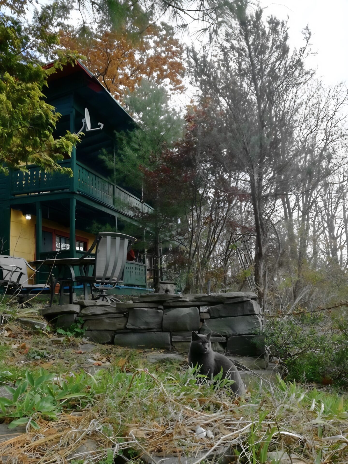 Ithaca Charming Lakeview Cottages