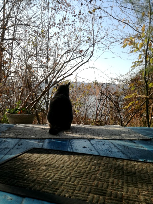 ithaca new york