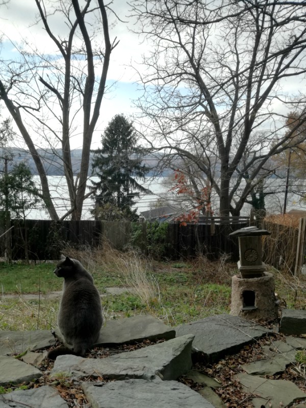 ithaca ny