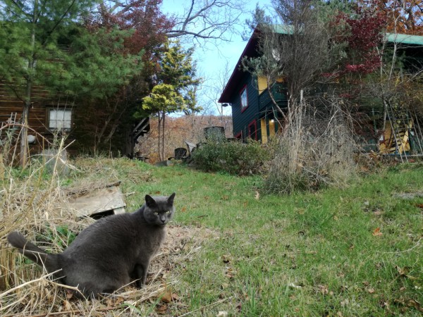 ithaca cheap b&b