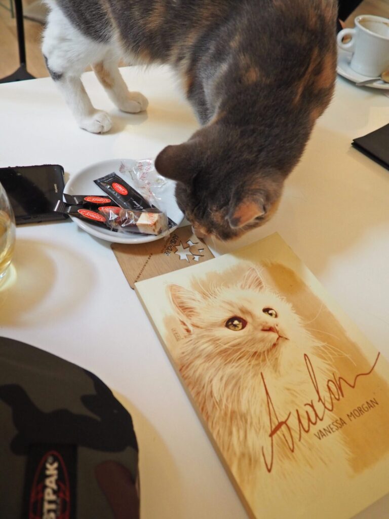 Kuroneko book