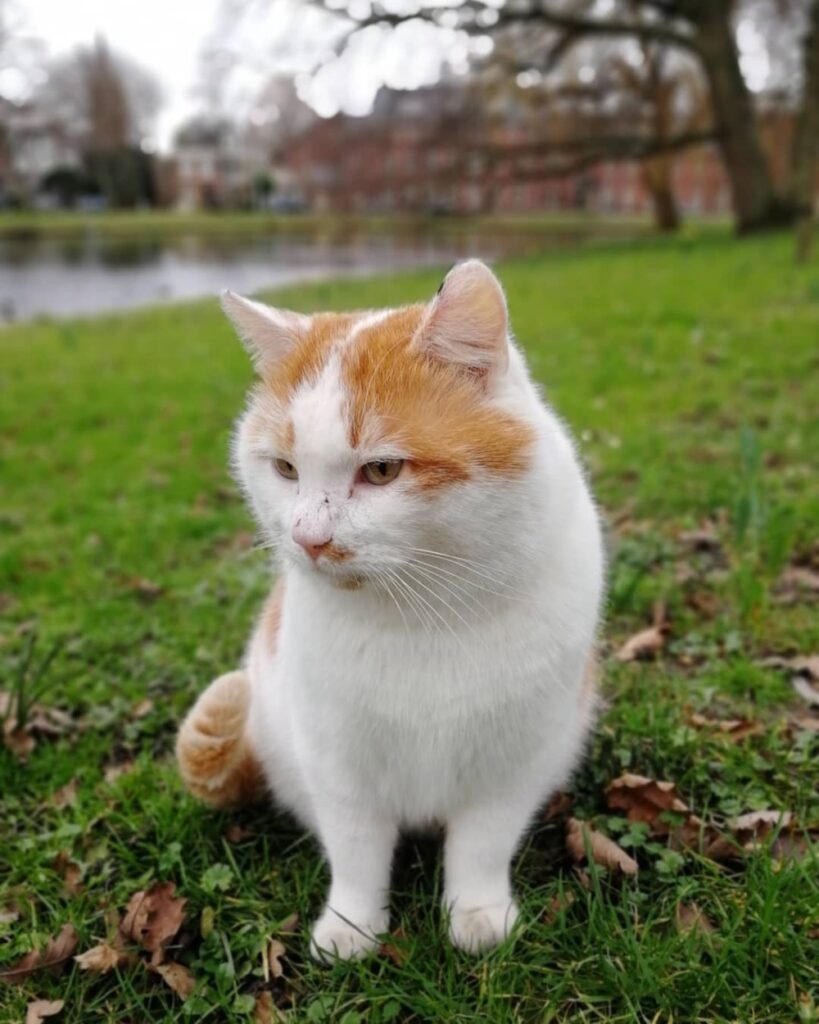 Leiden