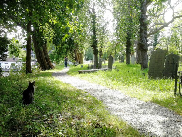 leiden begraafplaats