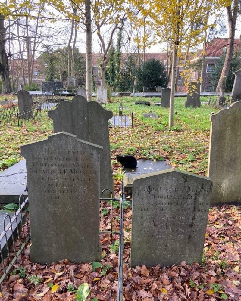Leiden cemetery
