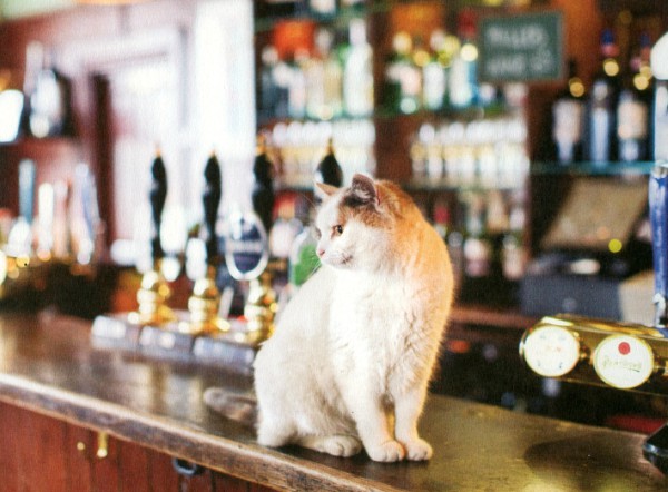london pub