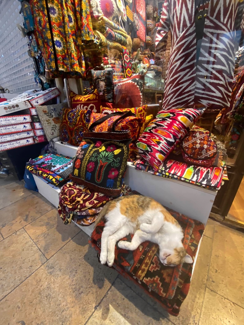 Grand Bazaar Istanbul cat