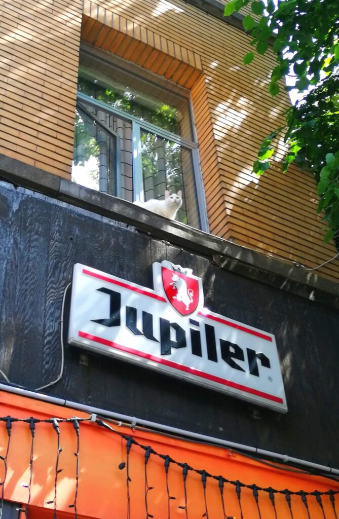 Jupiler kat