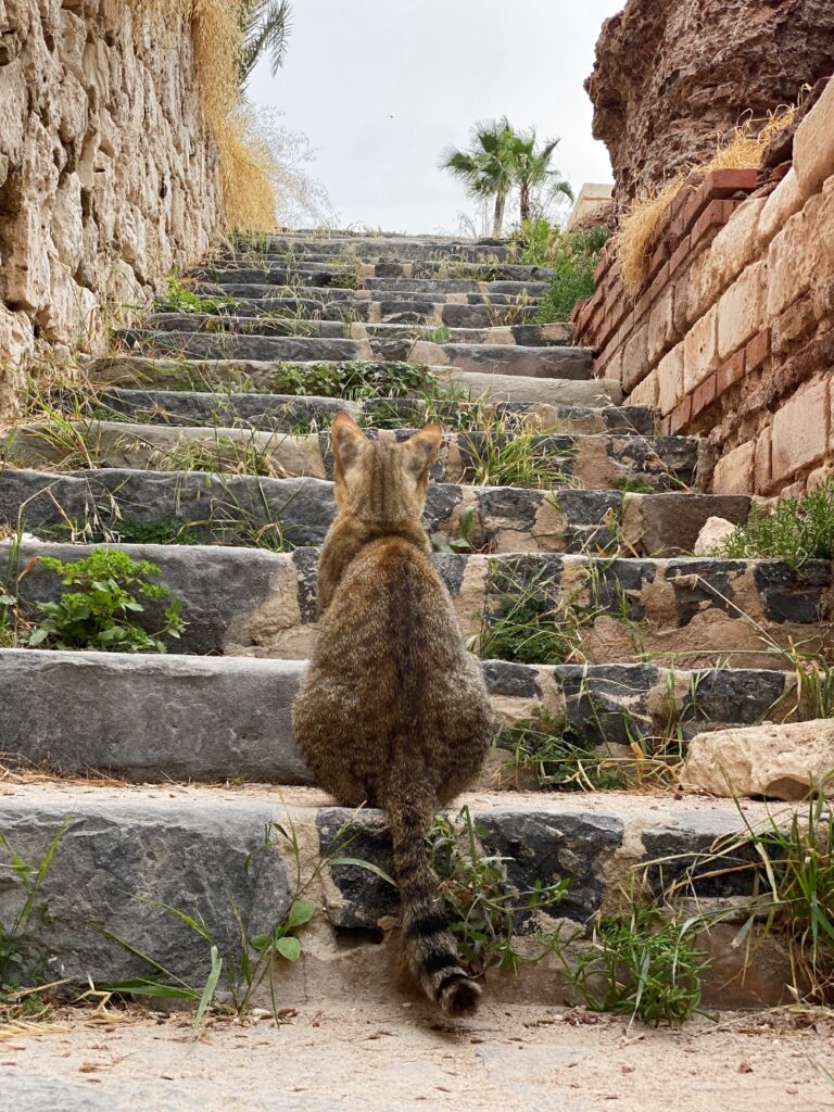 one step at a time