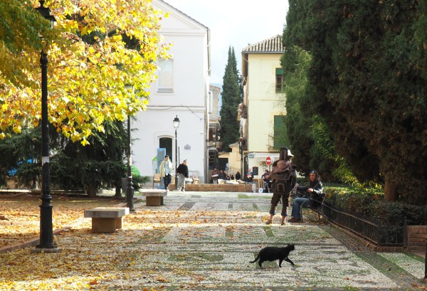 campo del principe granada