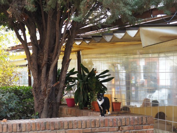 granada restaurant