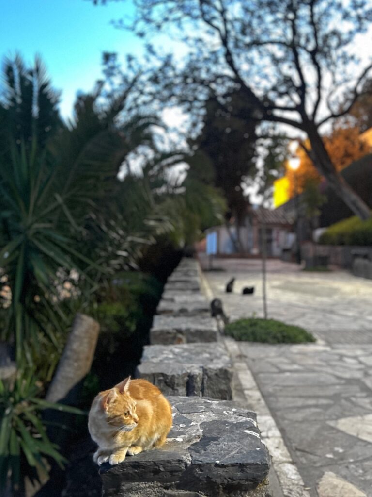 Alcazaba evening