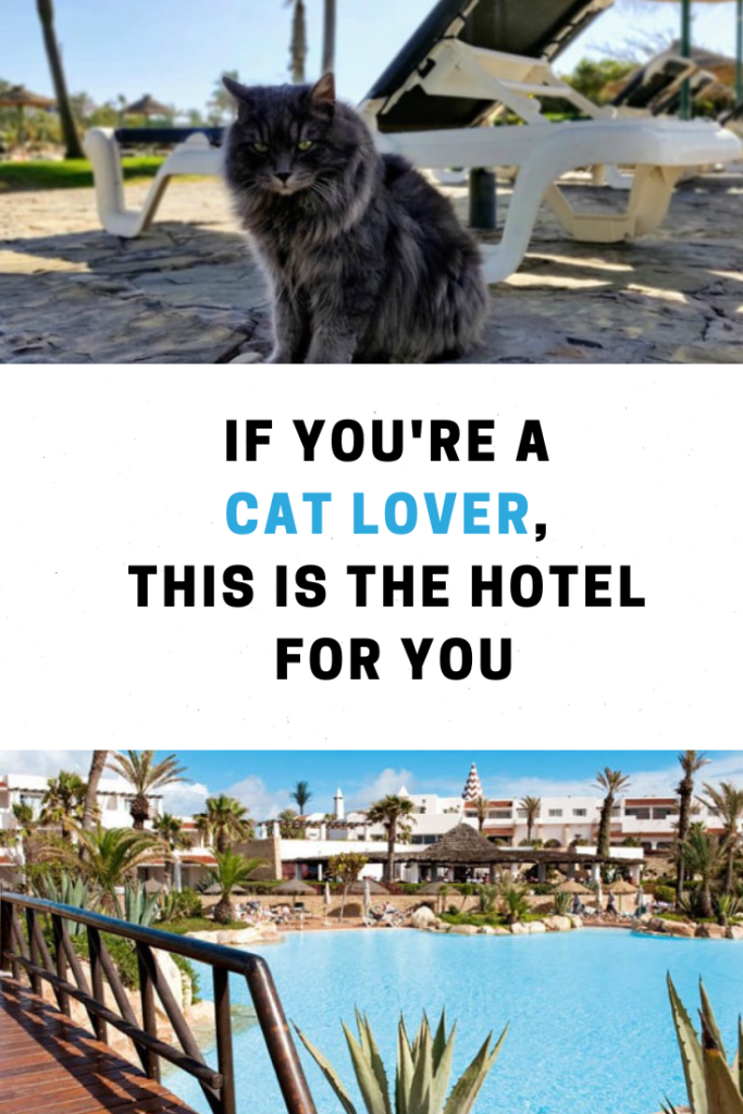 best hotel Agadir Morocco