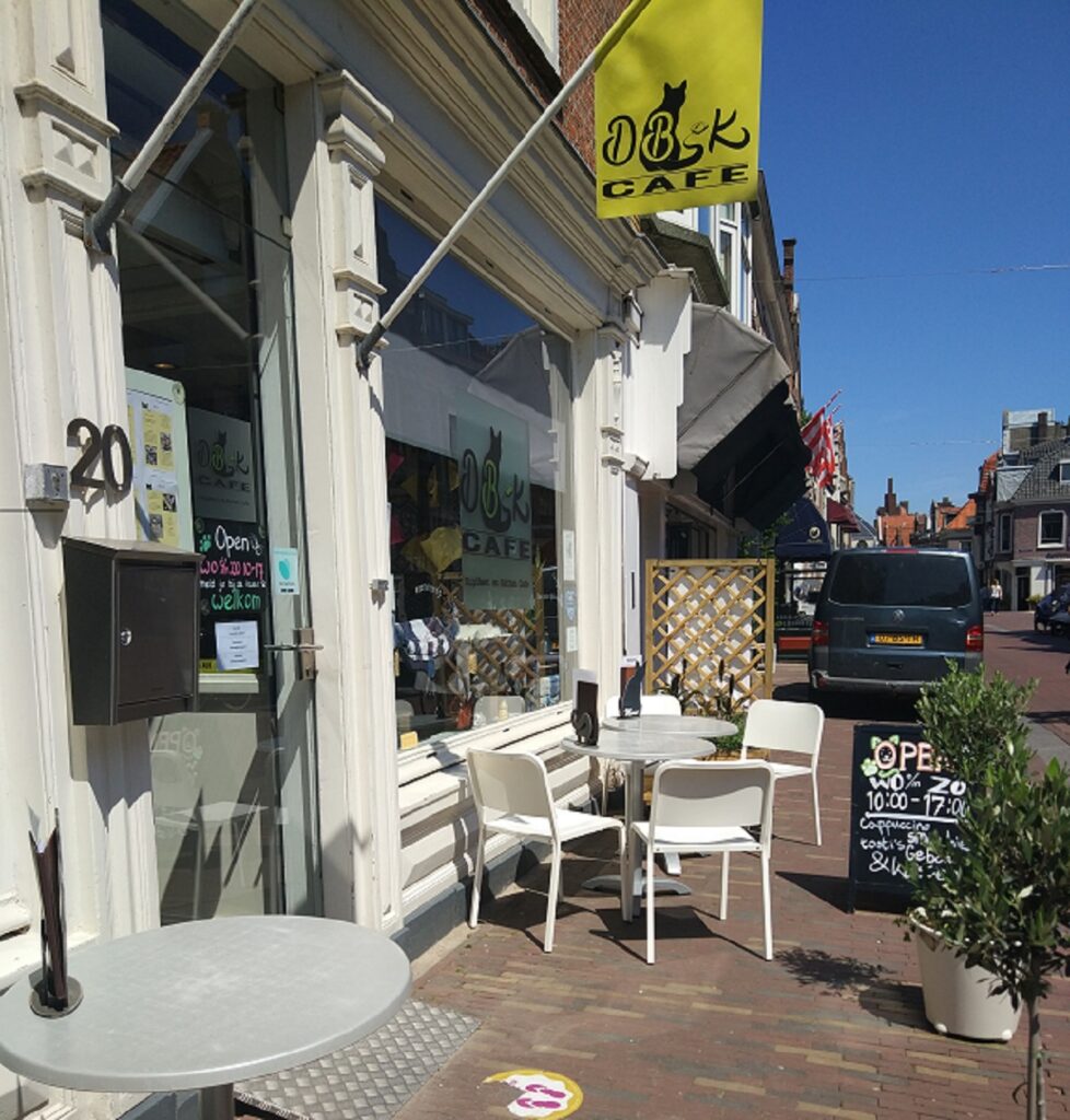 Digibeet Alkmaar
