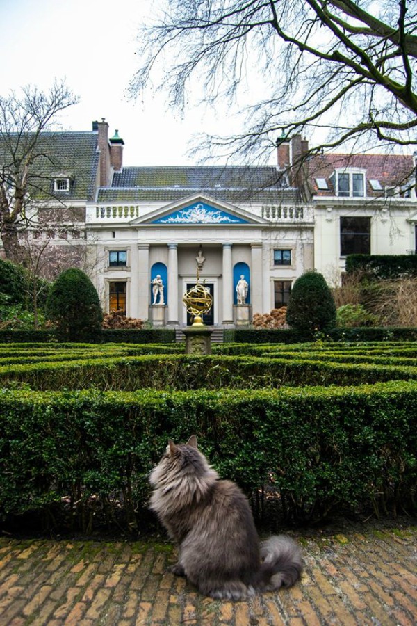 Museum Van Loon Amsterdam