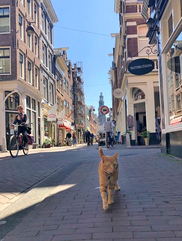 Amsterdam reguliersdwarsstraat