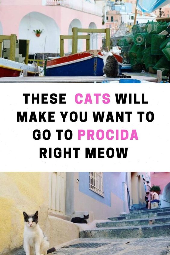 Procida travel