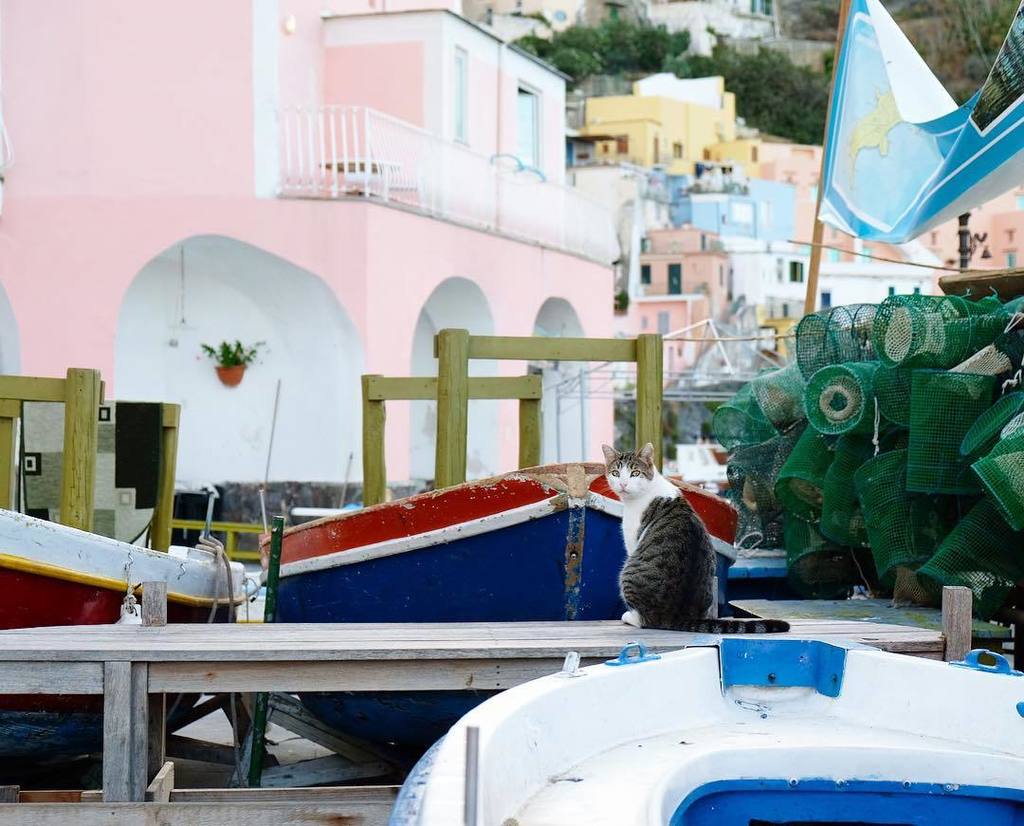 Corricella Procida
