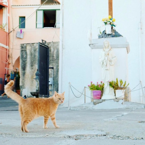 procida