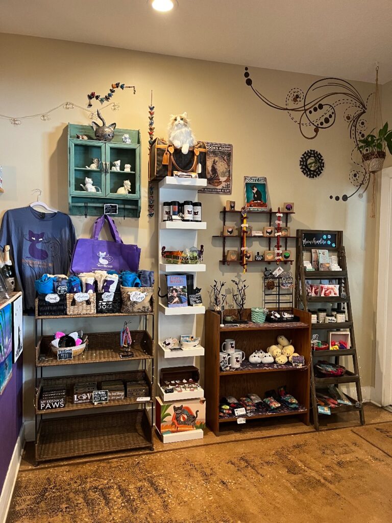 best cat café Florida