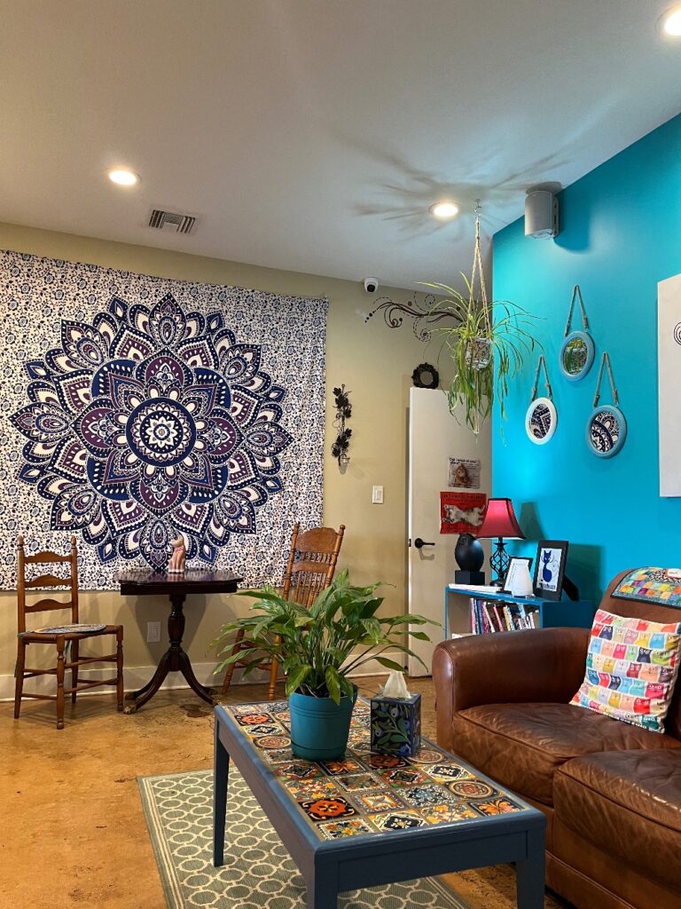 cat café st augustine