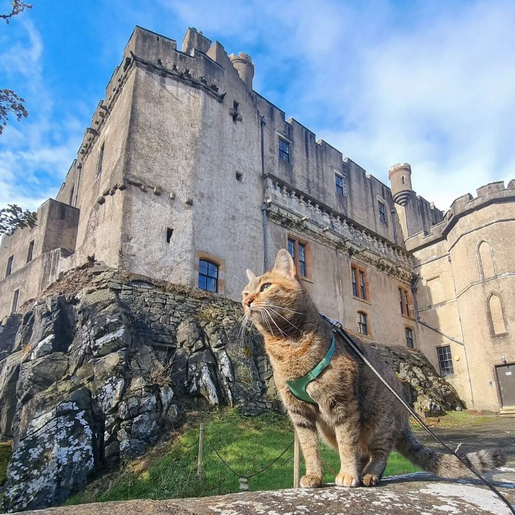 Nala near Dunvegan Castle