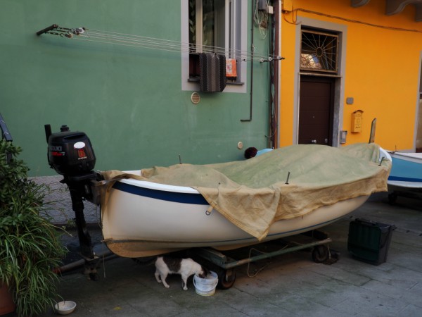Manarola boats
