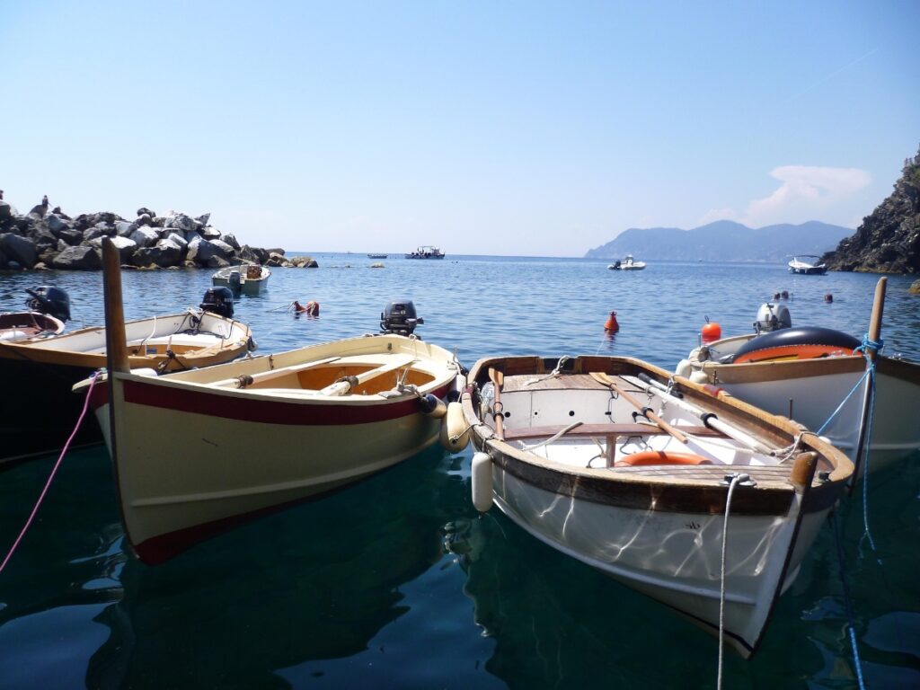 Manarola harbor