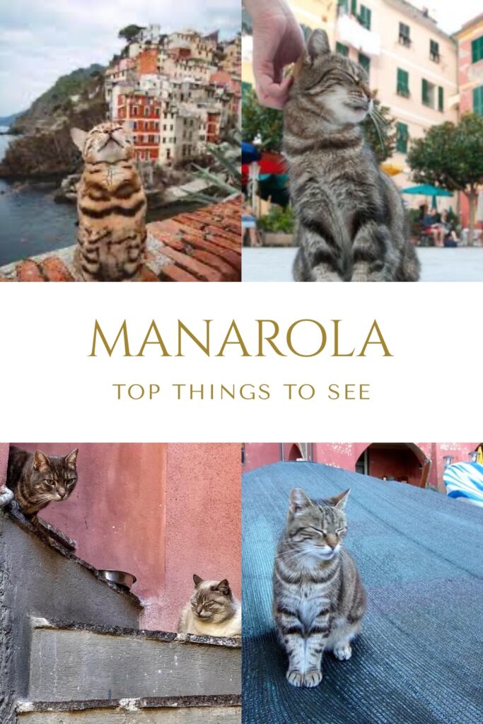 Manarola top things to see