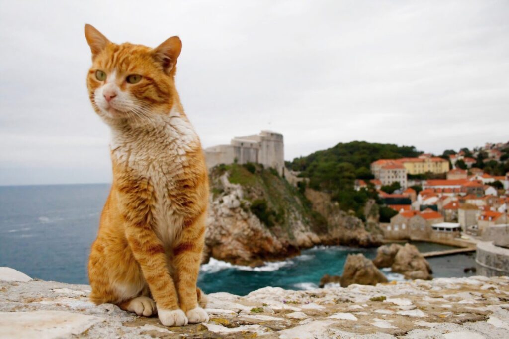 Dubrovnik Game of Thrones filming locations