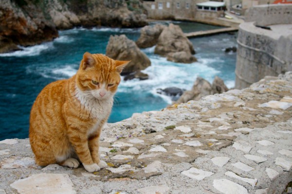 dubrovnik game of thrones