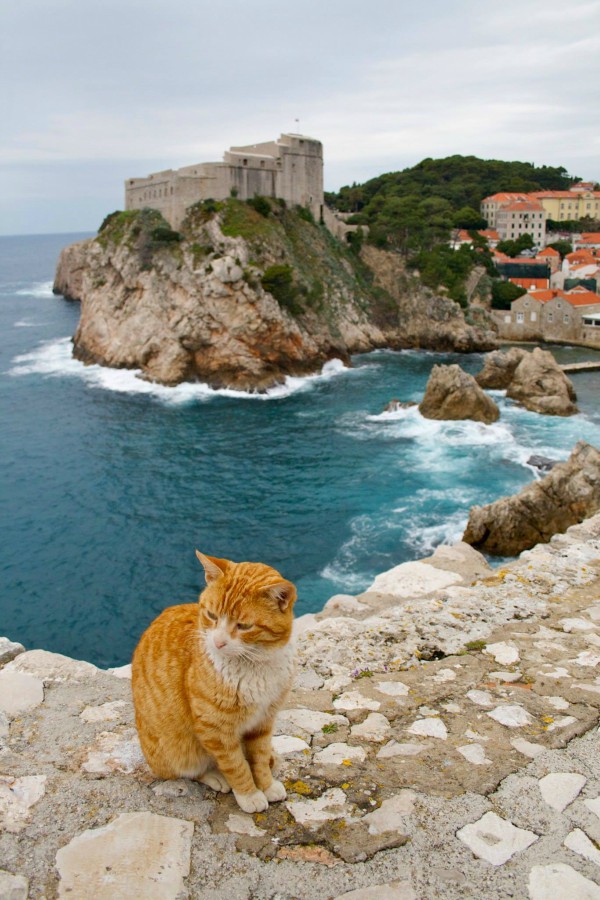 Game of Thrones filming locations in Dubrovnik