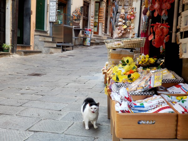 porto venere shop