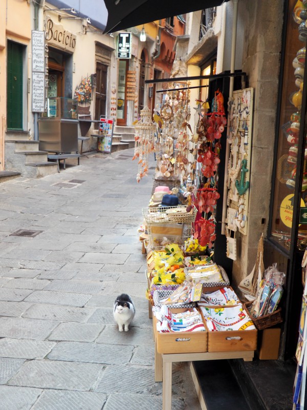 porto venere souvenir shop