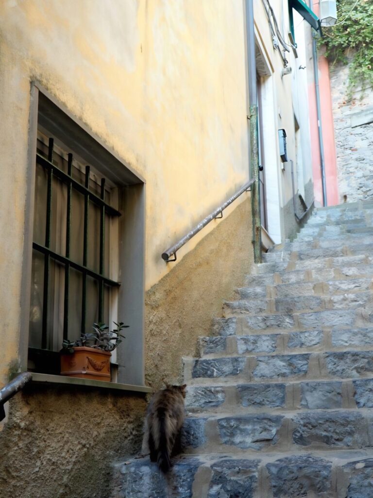 Porto Venere stairs