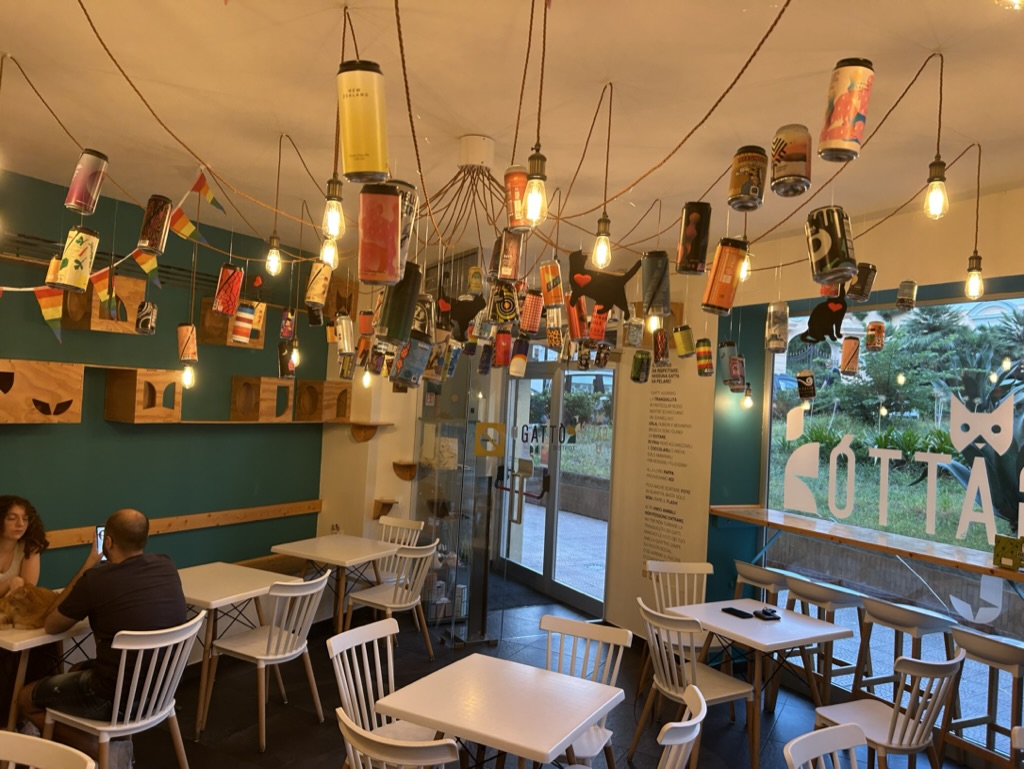 Gattò Bistrot cat café in Portici