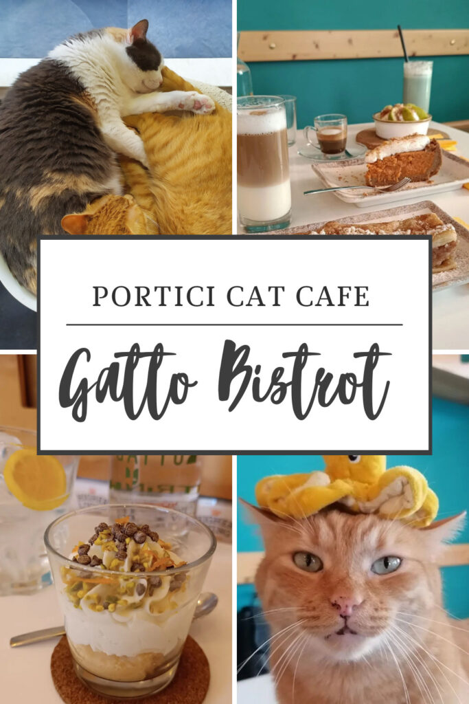 Cat Café Gattò Bistrot in Portici Napoli