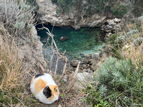 bagni regina giovanna sorrento