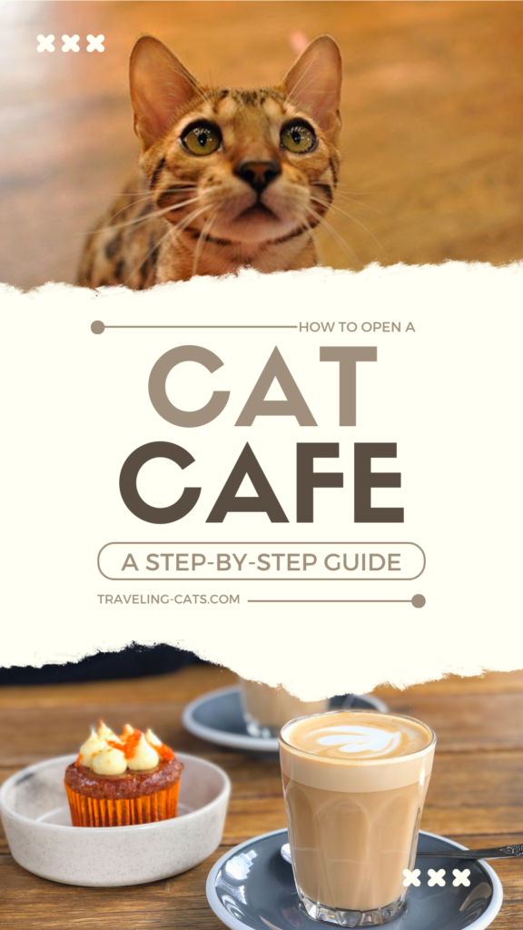How do you open a cat café?