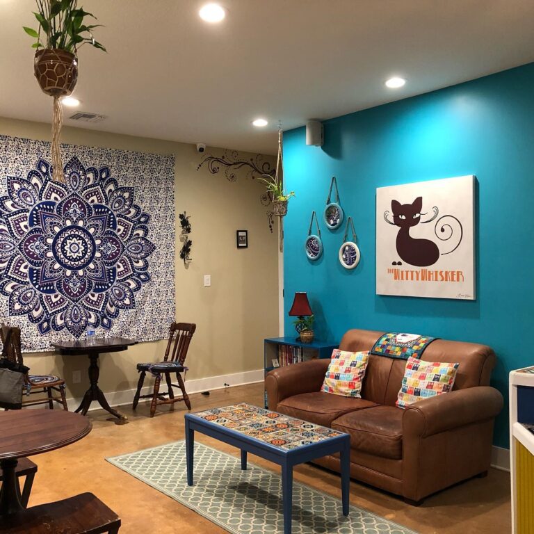 How to open a cat café