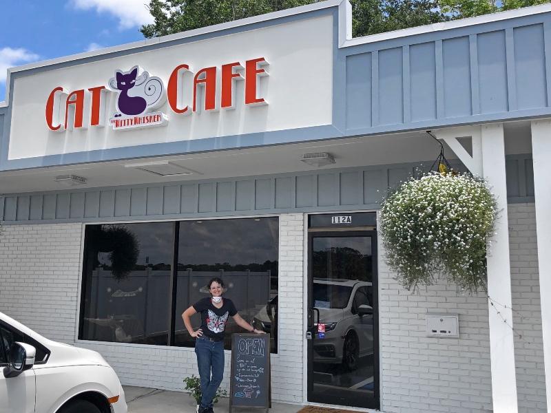 How to open your own cat café