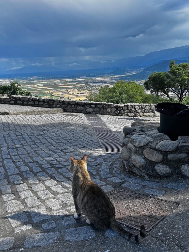 St. Stephen monastery view