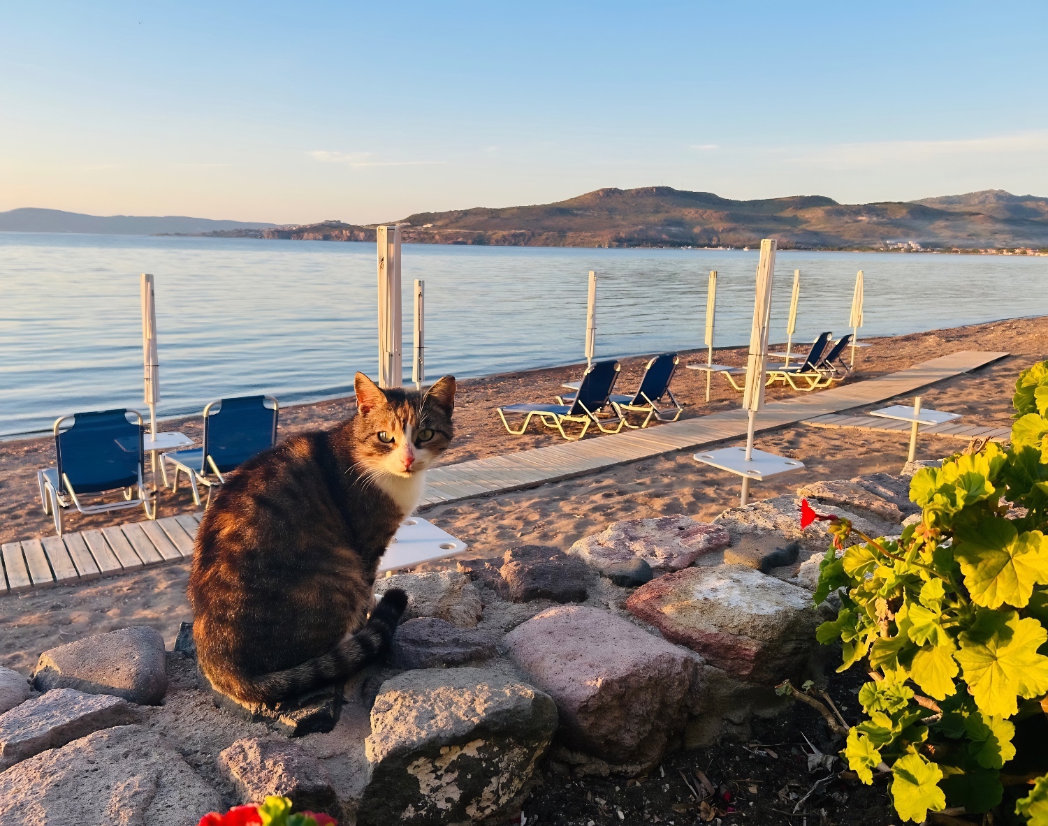 Petra Lesbos