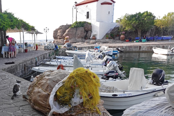 Skala Sykaminia port
