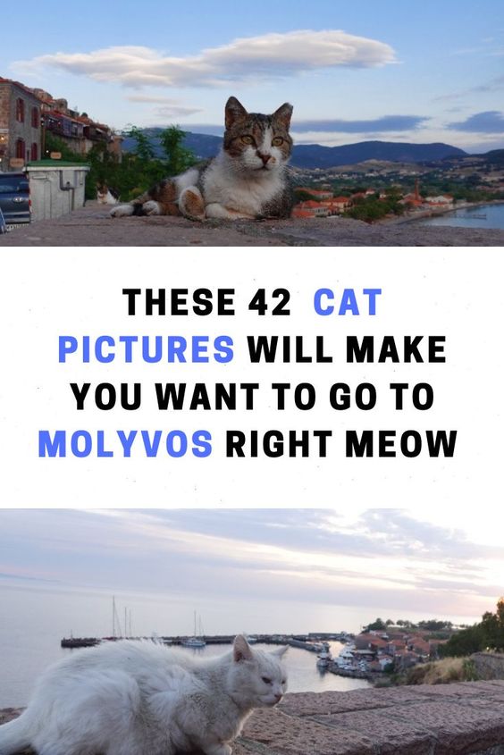 Molyvos