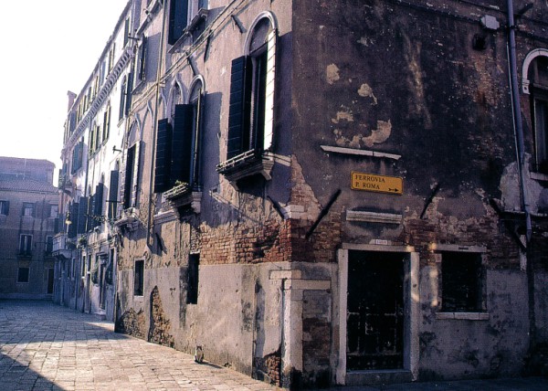Cat of Venice, Italy
