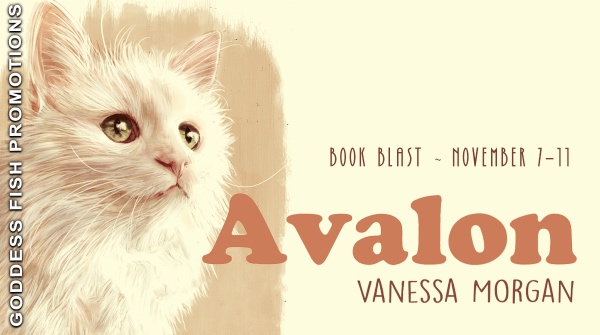 book tour banner