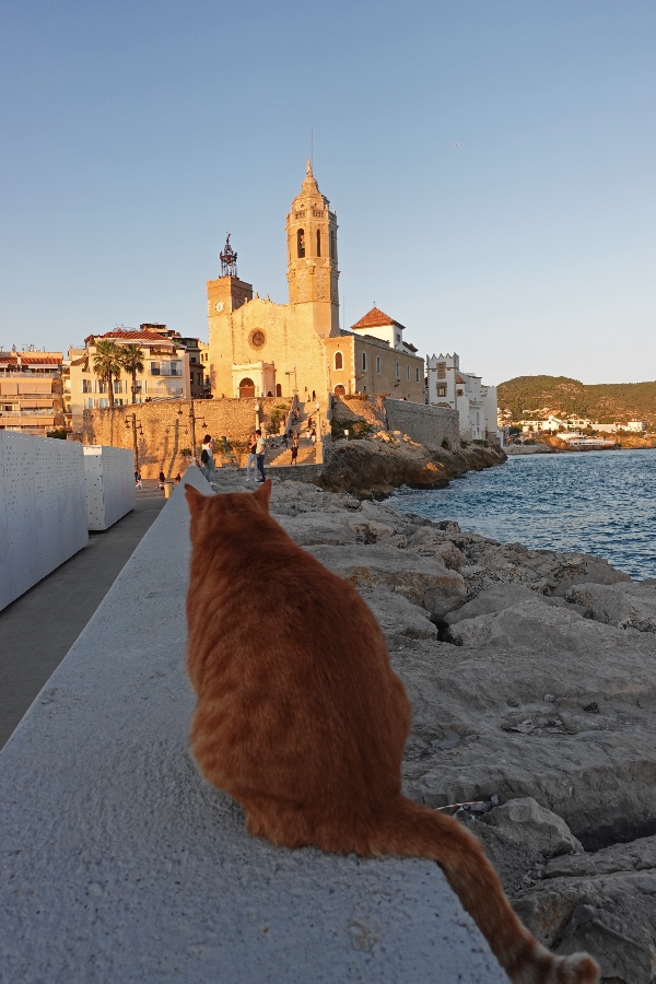 Church of St. Bartomeu Sitges