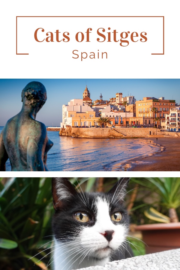 Sitges blog